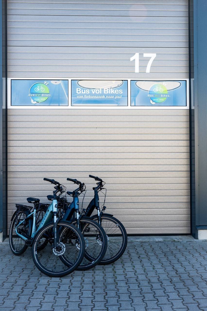 E-bike verhuur Raalte - Bosch Performance motor en 540Wh accu
